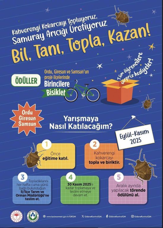 0c72e554-a584-4c11-a98d-4002bdf033d5