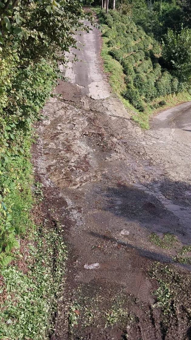 6aa397ee-50d5-4506-b687-d35019969ad3