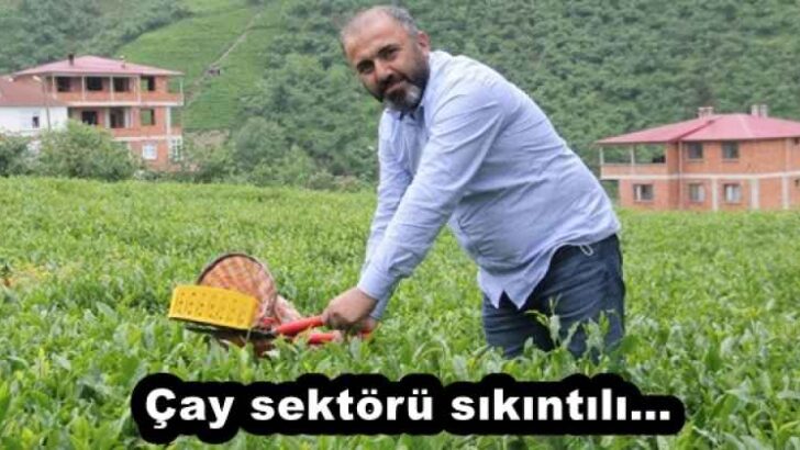 Çay sektörü sıkıntılı…
