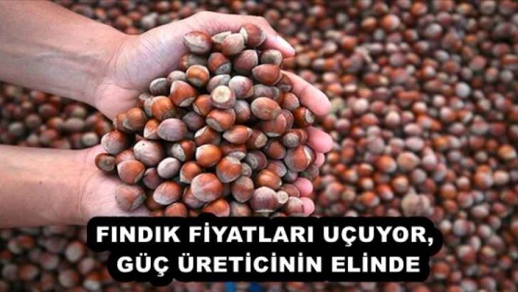 FINDIK FİYATLARI UÇUYOR, GÜÇ ÜRETİCİNİN ELİNDE