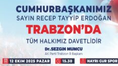 CUMHURBAŞKANI  GELİŞİ