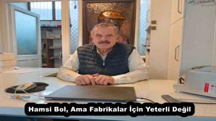 Hamsi Bol, Ama Fabrikalar İçin Yeterli Değil