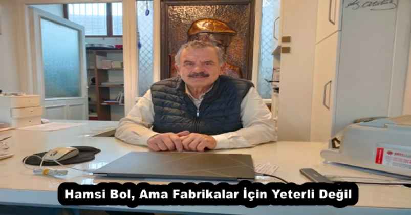 Hamsi Bol, Ama Fabrikalar İçin Yeterli Değil
