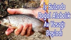 İÇ SULARDA ALABALIK AV YASAĞI BAŞLADI