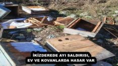 İKİZDEREDE AYI SALDIRISI, EV VE KOVANLARDA HASAR VAR