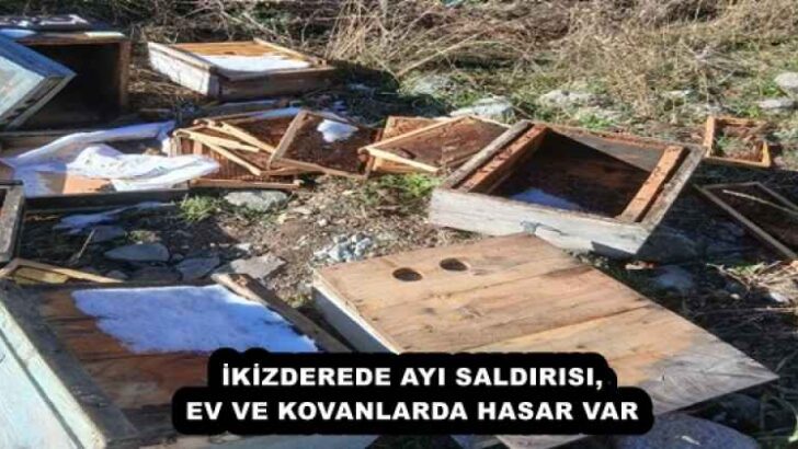 İKİZDEREDE AYI SALDIRISI, EV VE KOVANLARDA HASAR VAR
