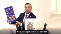 Kahverengi kokarca skandalı