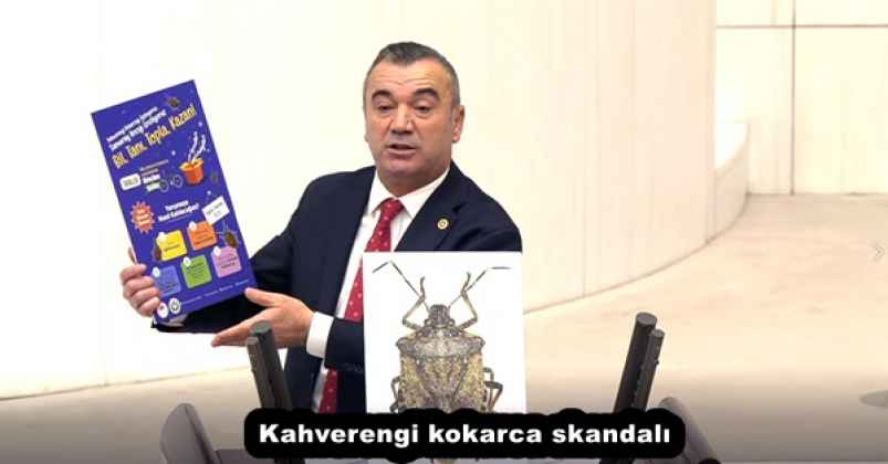 Kahverengi kokarca skandalı