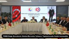 TOBB Doğu Karadeniz Odalar/Borsalar İstişare Toplantısında fındık konuşuldu