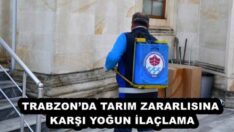 TRABZON’DA TARIM ZARARLISINA KARŞI YOĞUN İLAÇLAMA
