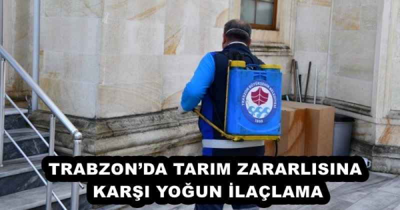 TRABZON’DA TARIM ZARARLISINA KARŞI YOĞUN İLAÇLAMA