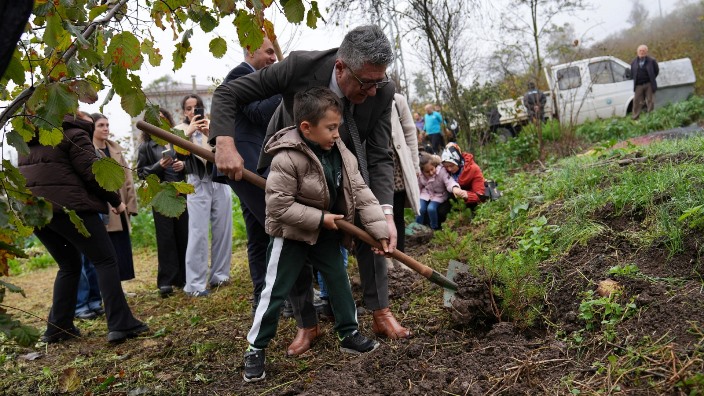 53b80043-15bb-4235-870b-01e26c4d98d7