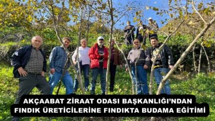 AKÇAABAT ZİRAAT ODASI BAŞKANLIĞI’NDAN  FINDIK ÜRETİCİLERİNE FINDIKTA BUDAMA EĞİTİMİ