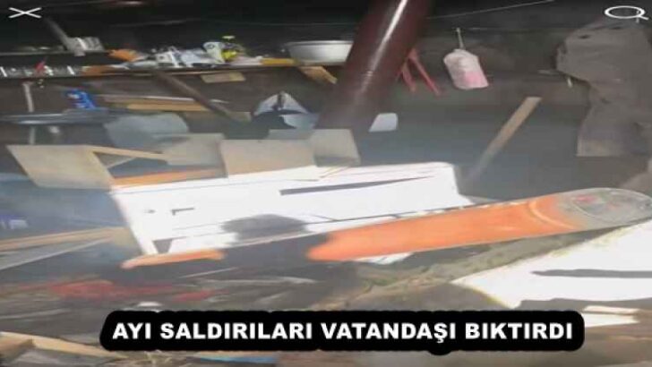 AYI SALDIRILARI VATANDAŞI BIKTIRDI
