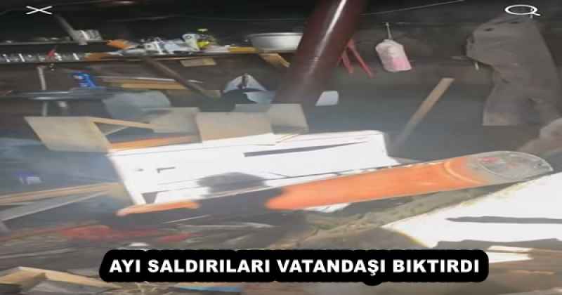 AYI SALDIRILARI VATANDAŞI BIKTIRDI