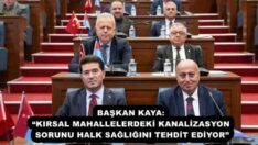 BAŞKAN KAYA: “KIRSAL MAHALLELERDEKİ KANALİZASYON SORUNU HALK SAĞLIĞINI TEHDİT EDİYOR”