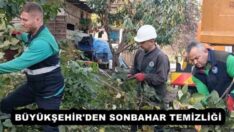 BÜYÜKŞEHİR’DEN SONBAHAR TEMİZLİĞİ