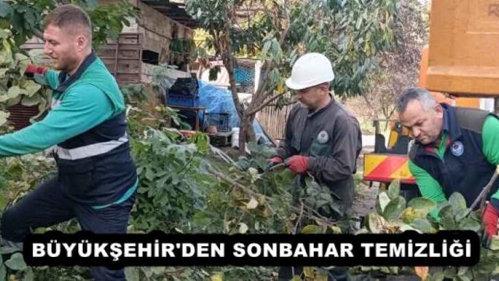 BÜYÜKŞEHİR’DEN SONBAHAR TEMİZLİĞİ
