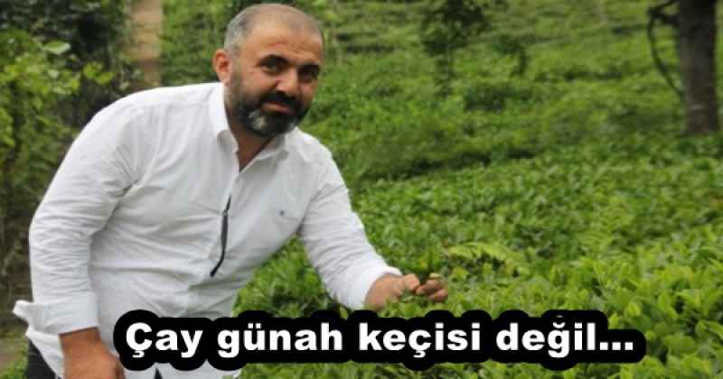 cay_gunah_kecisi_degil_h55557_e7e73 Çay günah keçisi değil…