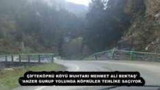 ÇİFTEKÖPRÜ KÖYÜ MUHTARI MEHMET ALİ BEKTAŞ’’ANZER GURUP YOLUNDA KÖPRÜLER TEHLİKE SAÇIYOR.