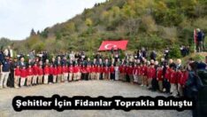 Şehitler İçin Fidanlar Toprakla Buluştu
