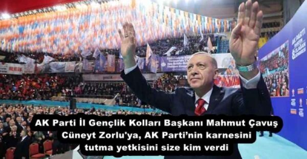 AK Parti İl Gençlik Kolları Başkanı Mahmut Çavuş Cüneyt Zorlu’ya, AK Parti’nin karnesini tutma yetkisini size kim verdi