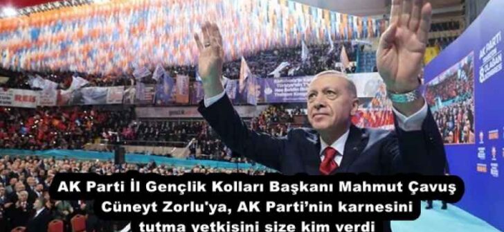 AK Parti İl Gençlik Kolları Başkanı Mahmut Çavuş Cüneyt Zorlu’ya, AK Parti’nin karnesini tutma yetkisini size kim verdi