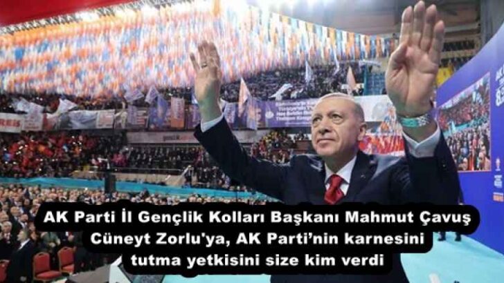 AK Parti İl Gençlik Kolları Başkanı Mahmut Çavuş Cüneyt Zorlu’ya, AK Parti’nin karnesini tutma yetkisini size kim verdi