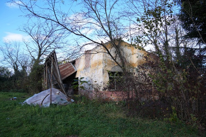 c1fb8872-ac03-471c-b334-9a533a352488