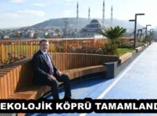 EKOLOJİK KÖPRÜ TAMAMLANDI