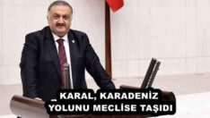 KARAL, KARADENİZ YOLUNU MECLİSE TAŞIDI