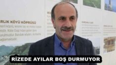 RİZEDE AYILAR BOŞ DURMUYOR