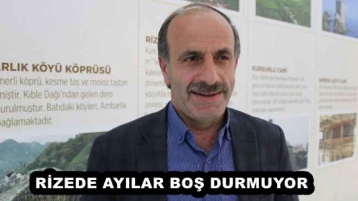 RİZEDE AYILAR BOŞ DURMUYOR