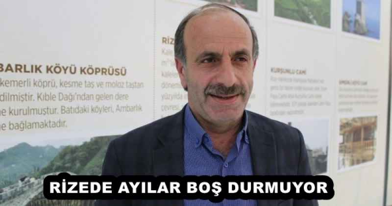 rizede_ayilar_bos_durmuyor_h55824_605da RİZEDE AYILAR BOŞ DURMUYOR