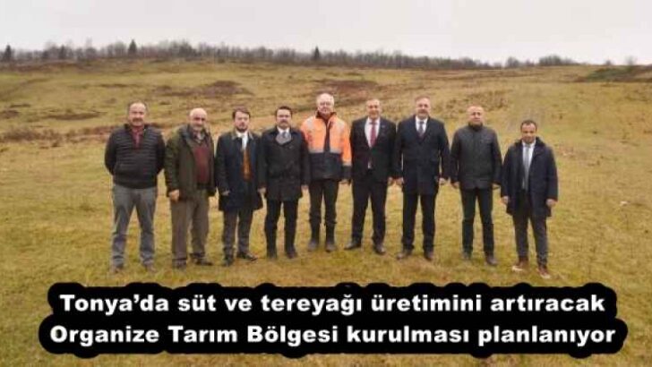 Tonya’da süt ve tereyağı üretimini artıracak Organize Tarım Bölgesi kurulması planlanıyor