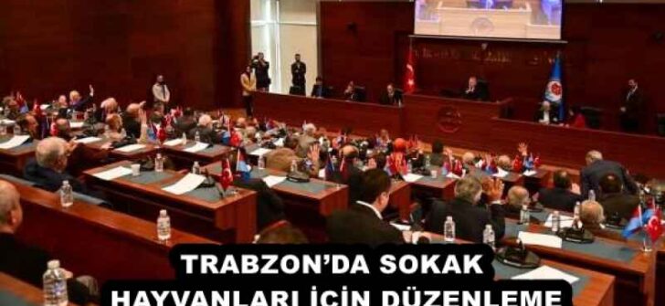 TRABZON’DA SOKAK HAYVANLARI İÇİN DÜZENLEME