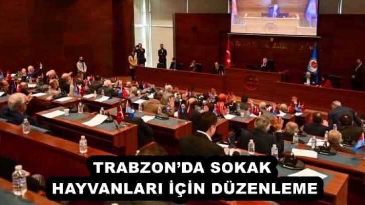 TRABZON’DA SOKAK HAYVANLARI İÇİN DÜZENLEME