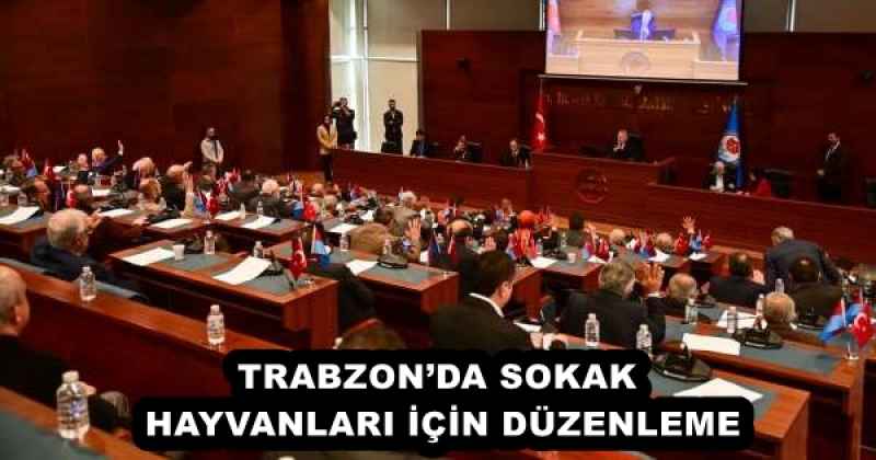 trabzonda_sokak_hayvanlari_icin_duzenleme_h55831_6a844 TRABZON’DA SOKAK HAYVANLARI İÇİN DÜZENLEME