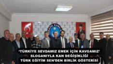 ‘TÜRKİYE SEVDAMIZ EMEK İÇİN KAVGAMIZ’ SLOGANIYLA KAN DEĞİŞİKLİĞİ TÜRK EĞİTİM SEN’DEN BİRLİK GÖSTERİSİ