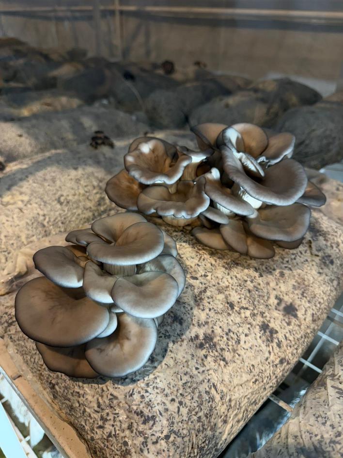 0a6f0969-b517-4364-aa3c-b90cc15a1bf6