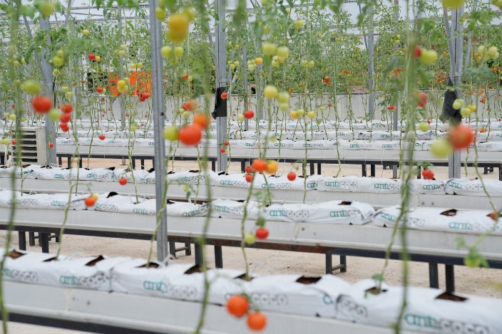 3c99aabc-dfa2-408c-8e4d-ec5cbd255afc