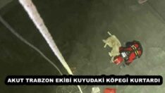 AKUT TRABZON EKİBİ KUYUDAKİ KÖPEGİ KURTARDI