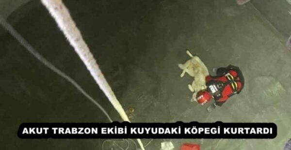 AKUT TRABZON EKİBİ KUYUDAKİ KÖPEGİ KURTARDI