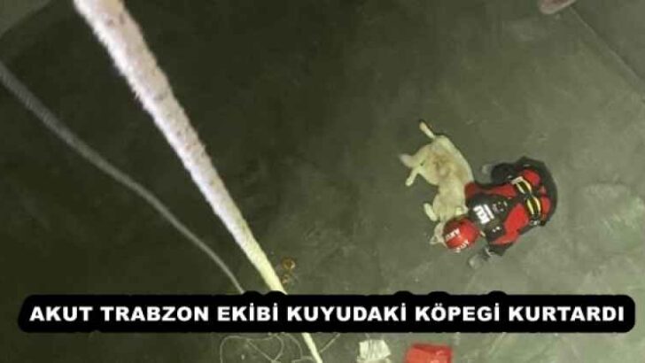 AKUT TRABZON EKİBİ KUYUDAKİ KÖPEGİ KURTARDI