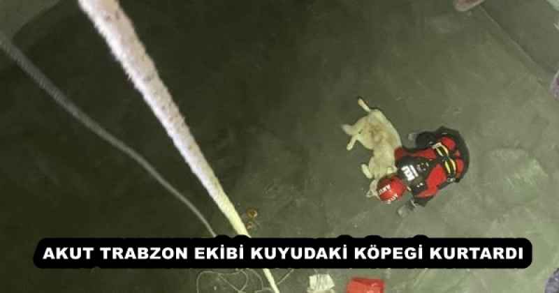 AKUT TRABZON EKİBİ KUYUDAKİ KÖPEGİ KURTARDI