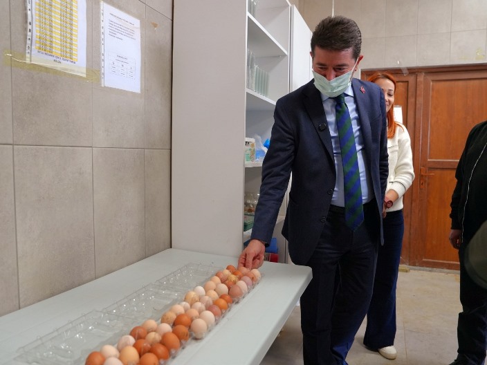 b5549e50-8b78-4287-a12e-0fce41c4c920