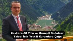Çaykara–Of Yolu ve Uzungöl Doğalgaz Talebi İçin Yetkili Kurumlara Çağrı