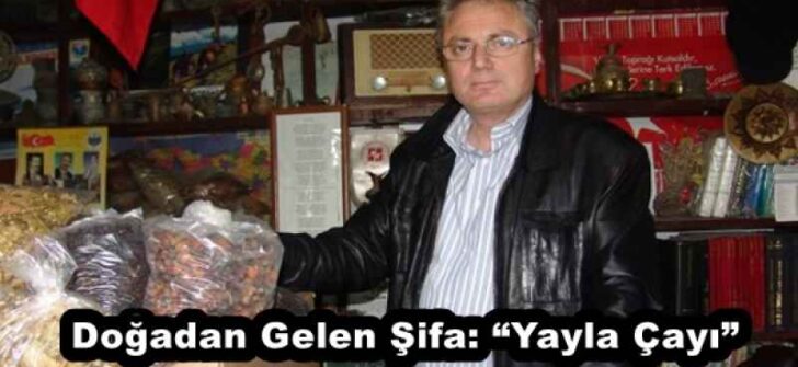 Doğadan Gelen Şifa: “Yayla Çayı”