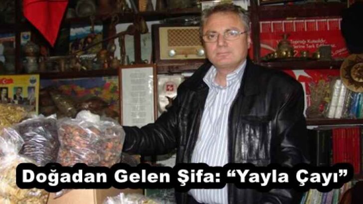 Doğadan Gelen Şifa: “Yayla Çayı”