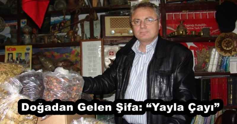 Doğadan Gelen Şifa: “Yayla Çayı”